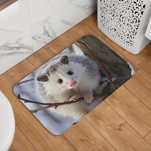 Opossum in Snow Fußmatte, Willkommens-Fußmatte, rutschfest, saugfähig, Badteppich, weich, waschbar, Bodenmatte, moderner Teppich für stilvolle Küche, Schlafzimmer, Badezimmer, Dekoration, 40,6 x 61 cm Opossum in Snow Fußmatte, Willkommens-Fußmatte, rutschfest, saugfähig, Badteppich, weich, waschbar, Bodenmatte, moderner Teppich für stilvolle Küche, Schlafzimmer, Badezimmer, Dekoration, 40,6 x 61 cm von LHDGBNV