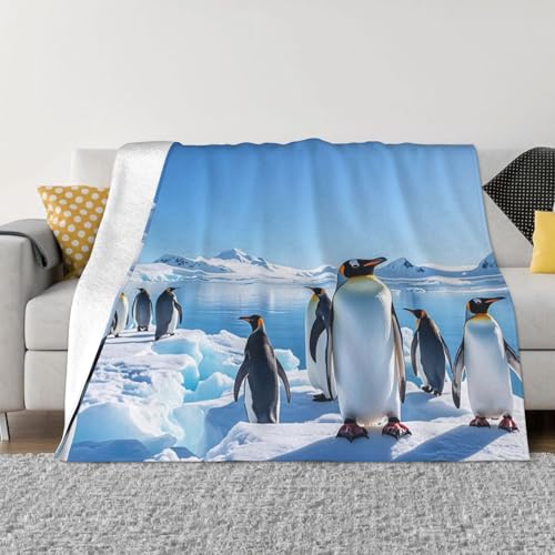 Pinguin-Antarktis-Eisdecke, leicht, superweich, Flanelldecken, gemütlich, warm, Mikrofleece-Decken, Heimdekoration für Couch, Sofa, Bett, Wohnzimmer, 127 x 101 cm Pinguin-Antarktis-Eisdecke, leicht, superweich, Flanelldecken, gemütlich, warm, Mikrofleece-Decken, Heimdekoration für Couch, Sofa, Bett, Wohnzimmer, 127 x 101 cm von LHDGBNV