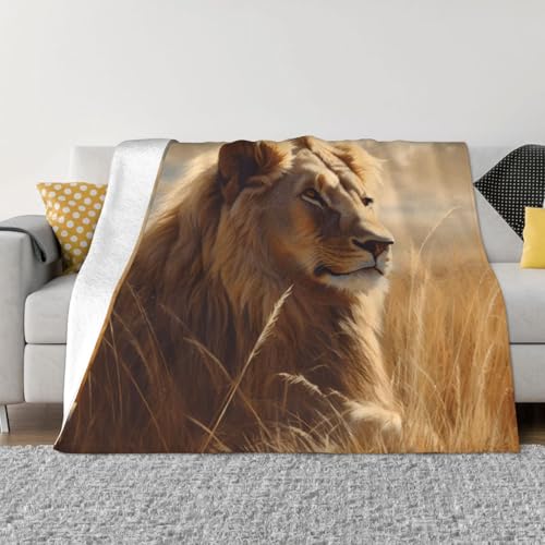 Prairie Löwe-Überwurfdecke, leicht, superweich, Flanelldecken, gemütlich, warm, Mikrofleece-Decken, Heimdekoration für Couch, Sofa, Bett, Wohnzimmer, 203 x 152 cm von LHDGBNV