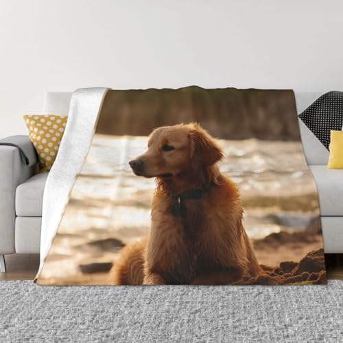 Retriever Überwurfdecke, leicht, superweich, Flanelldecken, gemütlich, warm, Mikrofleece-Decken, Heimdekoration für Couch, Sofa, Bett, Wohnzimmer, 101,6 x 76,2 cm Retriever Überwurfdecke, leicht, superweich, Flanelldecken, gemütlich, warm, Mikrofleece-Decken, Heimdekoration für Couch, Sofa, Bett, Wohnzimmer, 101,6 x 76,2 cm von LHDGBNV