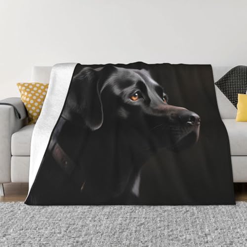 Schwarze Labrador-Überwurfdecke, leicht, superweich, Flanelldecken, gemütlich, warm, Mikrofleece-Decken, Heimdekoration für Couch, Sofa, Bett, Wohnzimmer, 152,4 x 127,7 cm Schwarze Labrador-Überwurfdecke, leicht, superweich, Flanelldecken, gemütlich, warm, Mikrofleece-Decken, Heimdekoration für Couch, Sofa, Bett, Wohnzimmer, 152,4 x 127,7 cm von LHDGBNV
