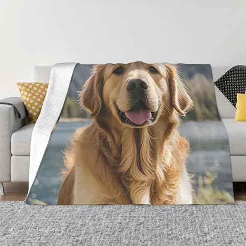 Süße Golden Retriever-Überwurfdecke, leicht, superweich, Flanell-Decken, gemütlich, warm, Mikrofleece-Decken, Heimdekoration für Couch, Sofa, Bett, Wohnzimmer, 203 x 152 cm Süße Golden Retriever-Überwurfdecke, leicht, superweich, Flanell-Decken, gemütlich, warm, Mikrofleece-Decken, Heimdekoration für Couch, Sofa, Bett, Wohnzimmer, 203 x 152 cm von LHDGBNV