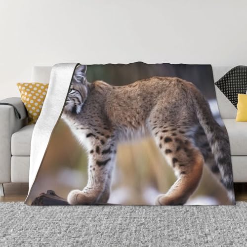 Wilder Bobcat-Überwurf, leichte, superweiche Flanell-Decken, gemütlich, warm, Mikrofleece-Decken, Heimdekoration für Couch, Sofa, Bett, Wohnzimmer, 203 x 152 cm von LHDGBNV