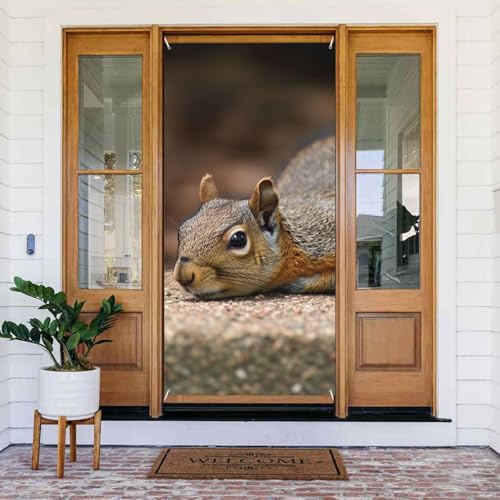 Willkommens-Türabdeckung, Dekoration, Türbanner 183 x 80 cm, Eichhörnchen, einfach liegend, Veranda, Banner, Schild, Fotohintergrund, saisonales Haustür-Banner für Urlaub, Party, Innen- und Willkommens-Türabdeckung, Dekoration, Türbanner 183 x 80 cm, Eichhörnchen, einfach liegend, Veranda, Banner, Schild, Fotohintergrund, saisonales Haustür-Banner für Urlaub, Party, Innen- und von LHDGBNV