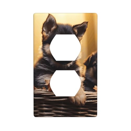 Duplex-Wandplatten, Steckdosenabdeckungen, Standardgröße, 1-fach, 11,4 x 7 cm, Lichtschalter-Abdeckplatte, unzerbrechlich, Polycarbonat, Doppelsteckdosenabdeckungen von LHDGBWC