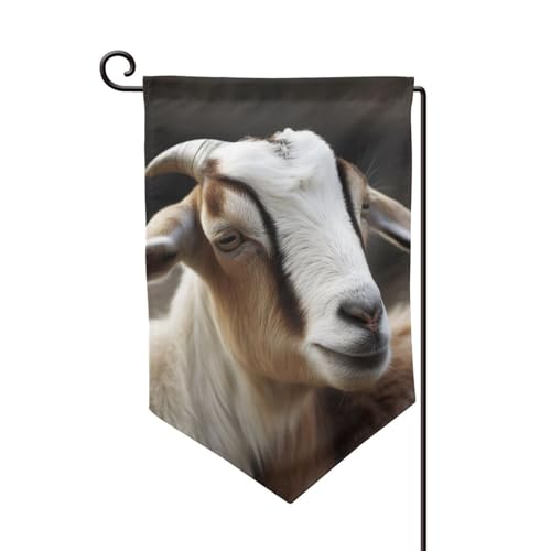 Gartenflagge, 30,5 x 45,7 cm, doppelseitig, für den Außenbereich, saisonale Willkommensflagge, Außendekoration, Bauernhaus, Tiere, Ziegenflaggen für Terrasse, Rasen und Garten von LHDGBWC
