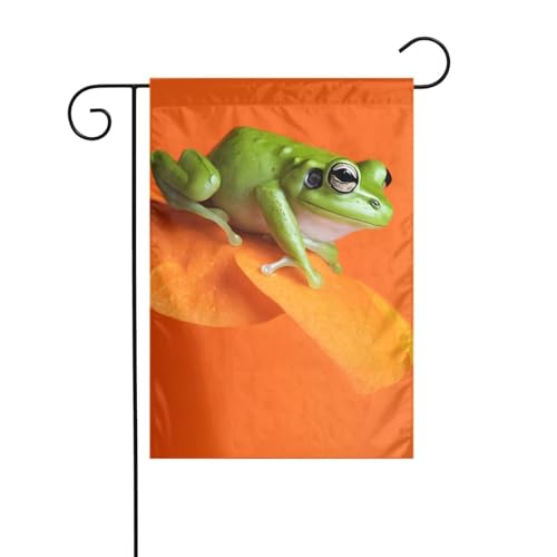 Dekorative Gartenflagge, 30 x 45 cm, doppelseitige saisonale Outdoor-Hofflagge, für Urlaub, Bauernhaus, Heimdekoration (rote Augen, Baumfrösche) von LHFIOHIRG