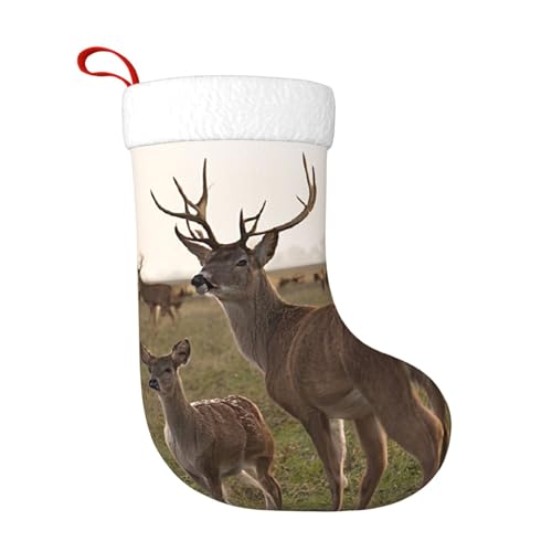 LHFIOHIRG Weihnachtsstrumpf zum Aufhängen, festliche Dekorationen für den Urlaub, Weihnachtsbaum, Kamin, Dekoration LHFIOHIRG Weihnachtsstrumpf zum Aufhängen, festliche Dekorationen für den Urlaub, Weihnachtsbaum, Kamin, Dekoration von LHFIOHIRG