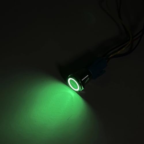 16mm LED Metall Drucktastenschalter Verriegelungsschalter 3-6V 12V 24V 110V 220V 10 Stück (Ring Lamp Green,LATCHING_3-6V) von LHKQHRDL