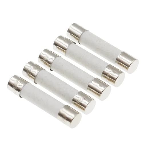 6X30mm Flinke Keramiksicherung 250V 0,1A-30A 10St(QUICK BREAK F_8A) von LHKQHRDL