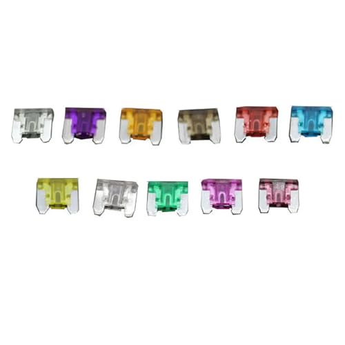 Mini-Sicherung 2~40A Die Sicherungsversicherung Einfügen Die Versicherung von Xenon-Stück Lichter Sicherung 10Pcs(30A) von LHKQHRDL
