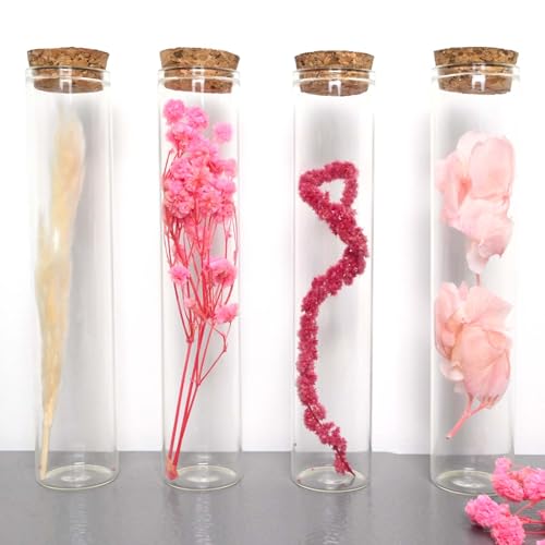 LHOEST 4 Stück Boho Deko Reagenzgläser für Blumen 4×15.5cm, Bunt Trockenblumen Deko Reagenzglas mit Korken, DIY Trockenblumen Klein Reagenzglas mit Korken Glas, für Tisch Fensterbank Deko von LHOEST