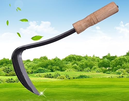 LI JIN Japanische Handhacke Profi Japanisches Gartenwerkzeug Gartenhacke aus geschmiedetem Borstahl Garten-Zubehör zum Unkraut entfernen No.2320 LI JIN Japanische Handhacke Profi Japanisches Gartenwerkzeug Gartenhacke aus geschmiedetem Borstahl Garten-Zubehör zum Unkraut entfernen No.2320 von LI JIN