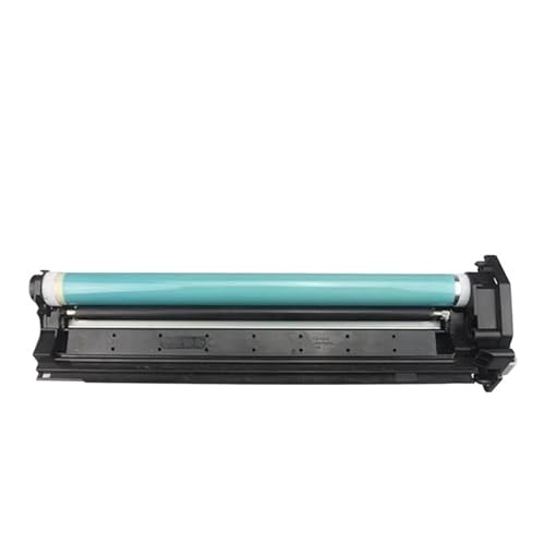 LIALTAOYA Trommeleinheit for C-anon iR2002L iR2002G iR2204N iR2202L IR2002 IR2004 IR 2002 2204 2202 2002L 2002G 2204N 2202L 2202N(60000Pages) von LIALTAOYA