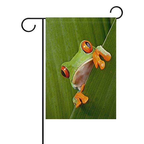LIANCHENYI Red Eyed Tree Frog doppelseitig Familie Flagge Polyester Outdoor Flagge Home Party Decro Garten Flagge 30,5 x 45,7 cm, Polyester, multi, 12x18(in) von LIANCHENYI
