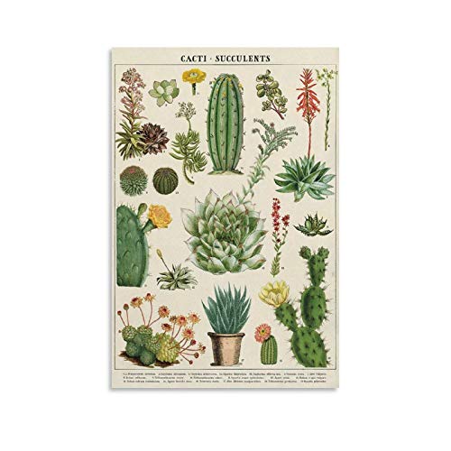 LIANGBO Cacti Succulents Poster Poster dekorative Malerei Leinwand Wandkunst Wohnzimmer Poster Schlafzimmer Malerei 16x24inch(40x60cm) von LIANGBO