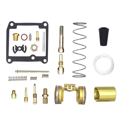 LIANGYIMEI Motorrad Vergaser Reparatursatz Mit Nadeldichtung Dichtung Schwimmer Für Mikuni VM20 VM 20 Vergaser Rebuild Teile(1 Set) von LIANGYIMEI