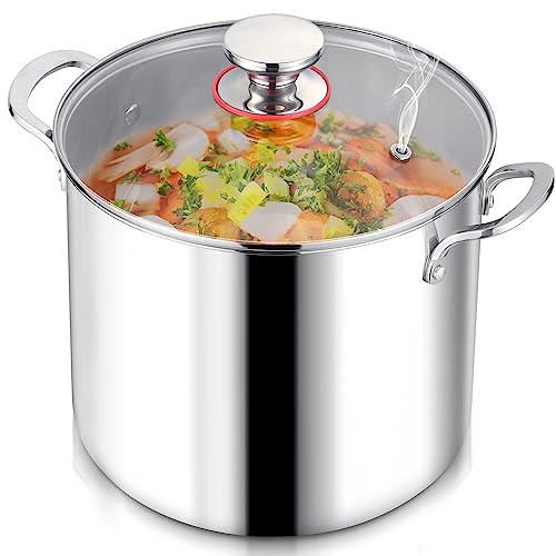 LIANYU 12QT Suppentopf aus 18/10 Edelstahl mit Deckel, großer Suppentopf, großes Kochgeschirr, 12 Quart Canning Pastatopf mit Messmarkierung, hoher Kochtopf, Induktionstopf zum Kochen, Strew Simmer von LIANYU