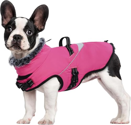LIANZIMAU Wasserdichter Hundemantel mit Geschirr Wintermantel Hundepullover Fleece Reflektierende Hundejacke Regenmantel für kleine, mittlere und große Hunde LIANZIMAU Wasserdichter Hundemantel mit Geschirr Wintermantel Hundepullover Fleece Reflektierende Hundejacke Regenmantel für kleine, mittlere und große Hunde von LIANZIMAU