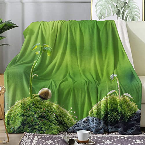 3D Decke, Wohndecke Kuscheldecken 220x240 cm, Moos Grün Decken Weich und Warm Flanell Fleecedecke für Sofa Couch Wohnzimmer, Wolldecke Couchdecke von LICAPE