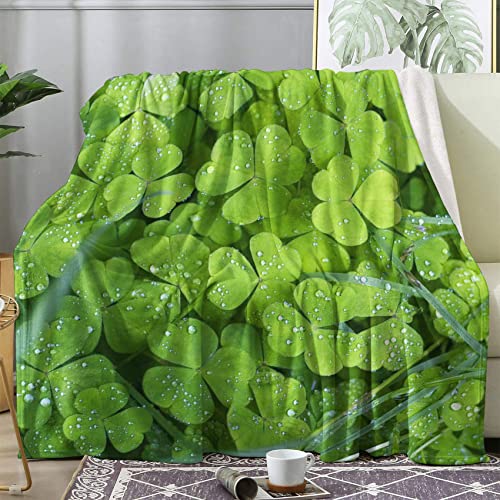 Kleeblatt Decke 220x240 cm, Decken Kuscheldecke Flauschig 3D Grün Pflanze, Wolldecke Warm Winter Fleecedecke für Sofa Couch, Tagesdecke, Sofadecke, Couchdecke von LICAPE