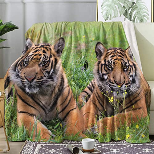 Tiger Decke 150x200 cm, Decken Kuscheldecke Flauschig 3D Tier, Wolldecke Warm Winter Fleecedecke für Sofa Couch, Tagesdecke, Sofadecke, Couchdecke von LICAPE
