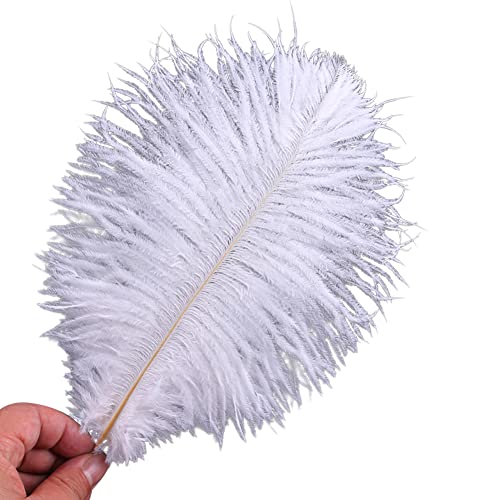 LICHENGTAI Natürliche Straußenfedern 15-20cm, 2 Stück Straußenfedern Feder Weiß Natürlich für Hochzeit Party Deko Verschiedene Geburtstagsfeier Hochzeitsfest Partydekorationen LICHENGTAI Natürliche Straußenfedern 15-20cm, 2 Stück Straußenfedern Feder Weiß Natürlich für Hochzeit Party Deko Verschiedene Geburtstagsfeier Hochzeitsfest Partydekorationen von LICHENGTAI