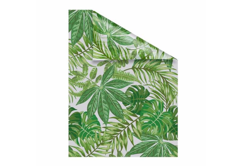 LICHTBLICK ORIGINAL Fensterfolie Blätter, blickdicht, strukturiert von LICHTBLICK ORIGINAL