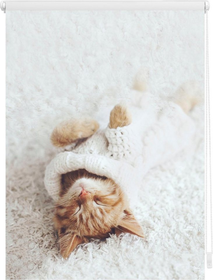 Seitenzugrollo Klemmfix Digital Sleepy Cat, LICHTBLICK ORIGINAL, verdunkelnd, ohne Bohren, freihängend, Klemmfix, bedruckt von LICHTBLICK ORIGINAL