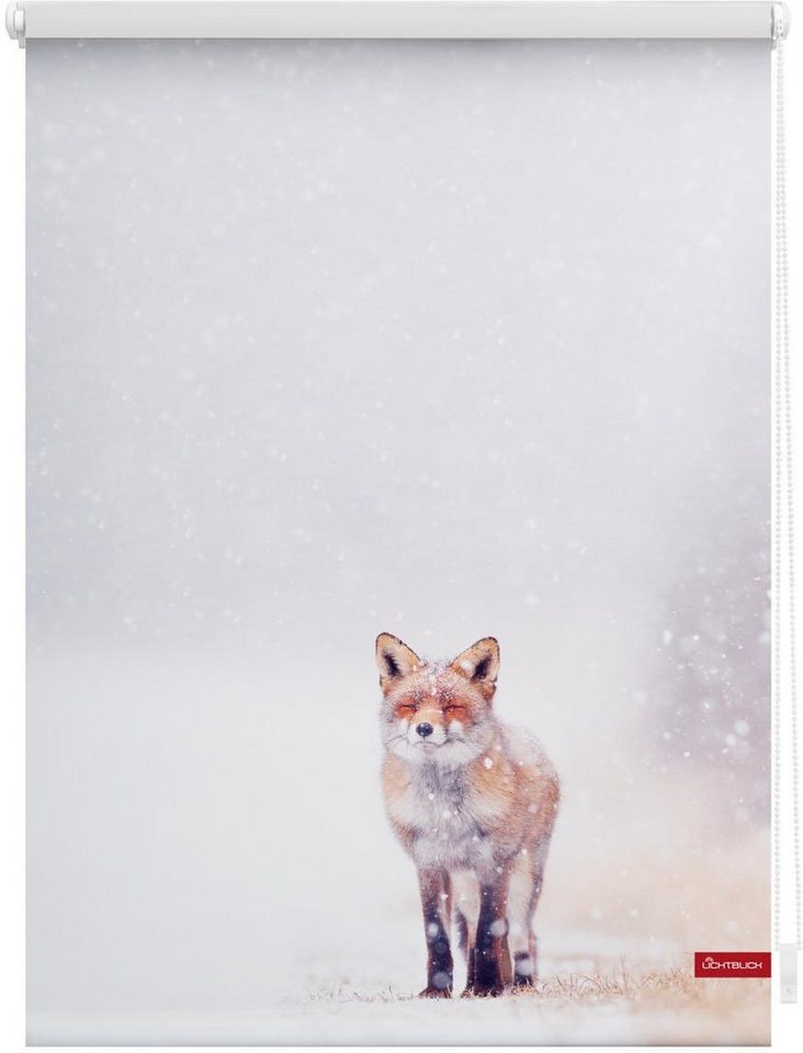 Seitenzugrollo Rollo Klemmfix, ohne Bohren, Verdunkelung, Fuchs im Schnee - Weiß Rot, LICHTBLICK ORIGINAL, verdunkelnd, freihängend, Klemmfix von LICHTBLICK ORIGINAL