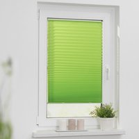 LICHTBLICK Spannplissee grün B/L: ca. 55x130 cm LICHTBLICK Spannplissee grün B/L: ca. 55x130 cm von LICHTBLICK