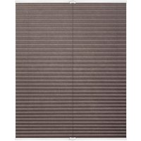 Spannplissee taupe B/L: ca. 100x130 cm Spannplissee taupe B/L: ca. 100x130 cm von LICHTBLICK