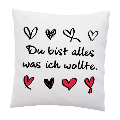 LIEBTASTISCH Liebes Kissen mit Spruch ''Du bist Alles was ich wollte.'' - Deko-Kissen - weiß 40cm x 40cm - Liebe - Schatz - Beziehung - (Ohne Kissen) von LIEBTASTISCH