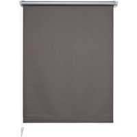 LIEDECO Rollo »Klemmfix«, stone, Polyester - grau von LIEDECO