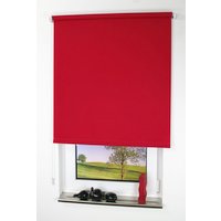 LIEDECO Seitenzug-Rollo, Stoff, lichtdurchlässig - rot LIEDECO Seitenzug-Rollo, Stoff, lichtdurchlässig - rot von LIEDECO