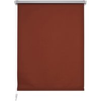 LIEDECO Verdunkelungsrollo »Klemmfix«, terracotta, Polyester - orange LIEDECO Verdunkelungsrollo »Klemmfix«, terracotta, Polyester - orange von LIEDECO