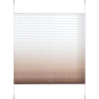 Liedeco Plissee "Farbverlauf" Lichtschutz ohne Bohren verspannt von LIEDECO