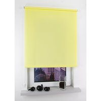 Liedeco Seitenzugrollo "Easy" Lichtschutz Perlreflex-beschichtet freihängend Seitenzugrollo Easy Liedeco Seitenzugrollo "Easy" Lichtschutz Perlreflex-beschichtet freihängend Seitenzugrollo Easy von LIEDECO