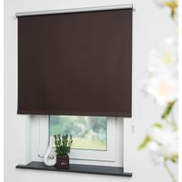 Liedeco Seitenzugrollo "Thermo-Rollo" verdunkelnd energiesparend Liedeco Seitenzugrollo "Thermo-Rollo" verdunkelnd energiesparend von LIEDECO