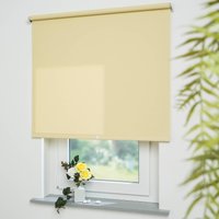 Liedeco Springrollo "Uni" Lichtschutz freihängend lichtdurchlässig Liedeco Springrollo "Uni" Lichtschutz freihängend lichtdurchlässig von LIEDECO