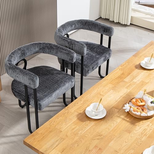 LIFEISLE Esszimmerstuhl 2er Set für Küchen, Polsterstuhl mit abgerundete Rückenlehne, Moderne Stühle mit Metalrahmen für Wohnzimmer, Büro Schlafzimmer Grau von LIFEISLE