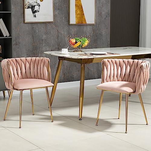 LIFEISLE Samt Stuhl, Esszimmerstuhl 2er Set mit Goldenen Metallbeinen, Schalenstuhl mit handgewebten Armlehne für Esszimmer, Wohnzimmer und Schlafzimmer Pink LIFEISLE Samt Stuhl, Esszimmerstuhl 2er Set mit Goldenen Metallbeinen, Schalenstuhl mit handgewebten Armlehne für Esszimmer, Wohnzimmer und Schlafzimmer Pink von LIFEISLE