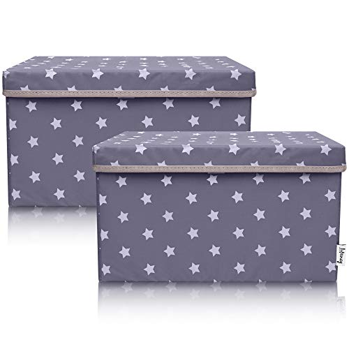 LIFENEY 2-Set Aufbewahrungsbox Kinder (37x25x21cm) I Aufbewahrungskorb für Kinderzimmer und Wohnbereich I Kinder Aufbewahrungskiste (Dunkelgrau Stern) von LIFENEY