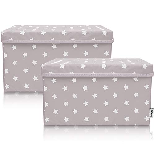 LIFENEY 2-Set Aufbewahrungsbox Kinder (37x25x21cm) I Aufbewahrungskorb für Kinderzimmer und Wohnbereich I Kinder Aufbewahrungskiste (Hellgrau Stern) von LIFENEY