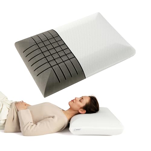 LIFEZEAL 2er Set Nackenstützkissen, Kopfkissen für Doppelbett aus innovativem Memory-Schaum mit Bambuskohle, Memory Foam Kissen mit abnehmbarem Bezug, mittelweich, hypoallergen, 60 x 40 x 13 cm von LIFEZEAL