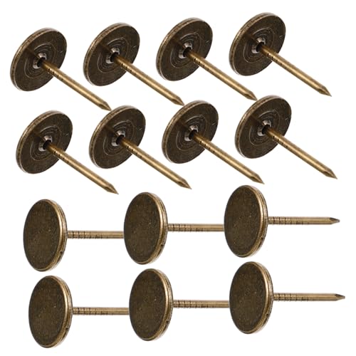 LIFKICH 100 Stück Flachkopf Bildnadel Dekorative Möbel Tacks Robuste Polsternägel Vintage Design für Innenräume für und Büroanwendungen von LIFKICH