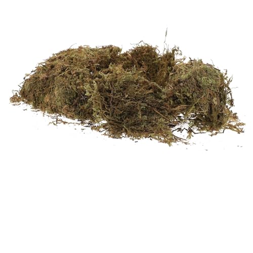 LIFKOME 2 Packungen Natürliches Moos Dekoratives Getrocknetes Flechtenmoos für Bonsai und DIY Gartenprojekte Weiches Waldbodenmoos als Lebensraum und Dekoration für Blumentöpfe von LIFKOME