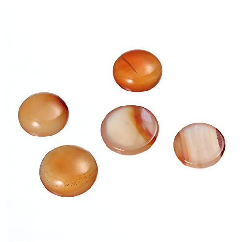 LIFKOME 20 Stück Rote Karneol Cabochons für Schmuckdesign DIY Edelstein Aufkleber für Uhren Bilderrahmen und Mehr für Kreative Bastelprojekte LIFKOME 20 Stück Rote Karneol Cabochons für Schmuckdesign DIY Edelstein Aufkleber für Uhren Bilderrahmen und Mehr für Kreative Bastelprojekte von LIFKOME