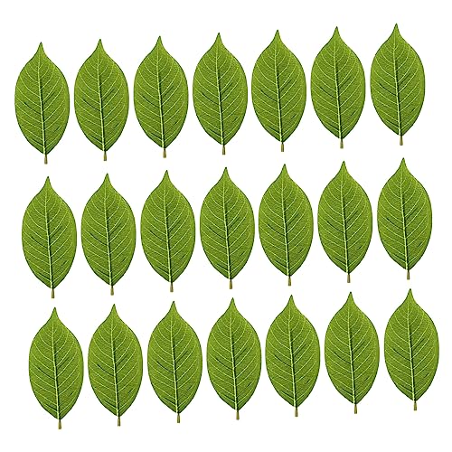 LIFKOME 50 Stück Große Künstliche Magnolienblätter Grün Künstliche Pflanze Kunstblätter Simuliertes Für Heimveranstaltungen Und Fotografie von LIFKOME