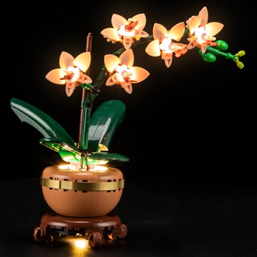 LIGHTAILING Licht-Set Für Lego-10343 Mini-Orchidee - Led-Beleuchtungsset Kompatibel Mit Lego Modell - Modell Set Nicht Enthalten LIGHTAILING Licht-Set Für Lego-10343 Mini-Orchidee - Led-Beleuchtungsset Kompatibel Mit Lego Modell - Modell Set Nicht Enthalten von LIGHTAILING
